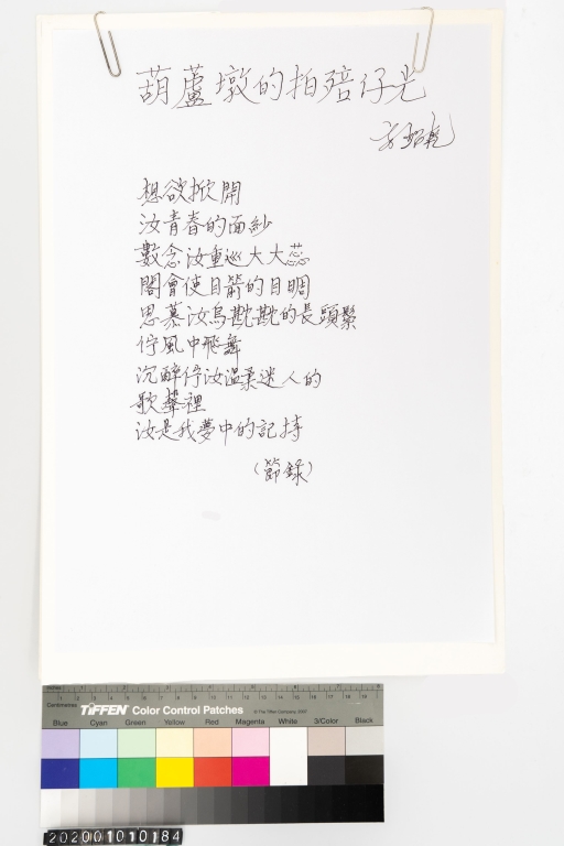 葫蘆墩的拍殕仔光