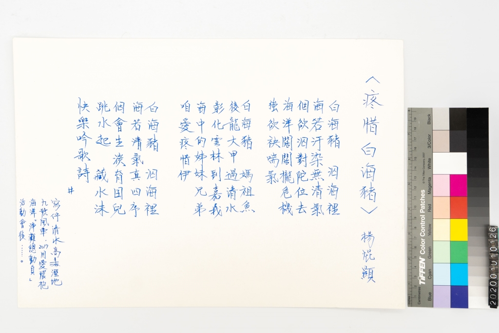 疼惜白海豬