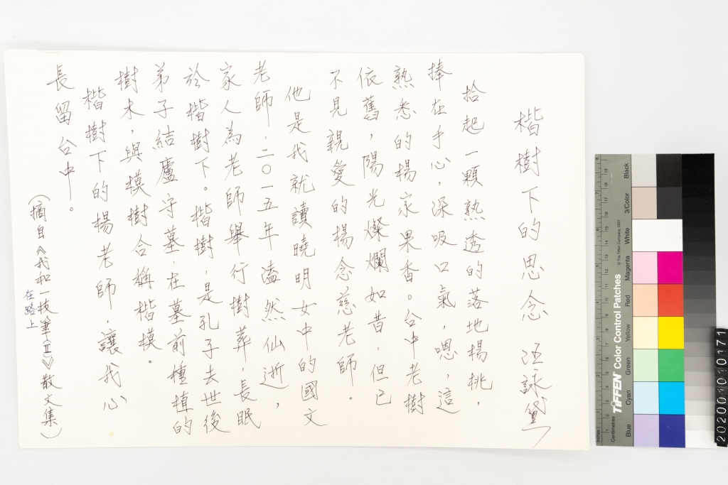 楷樹下的思念