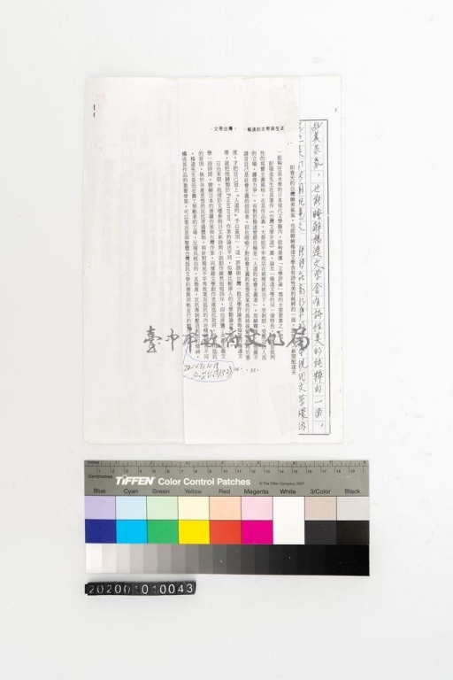 初稿影本內文